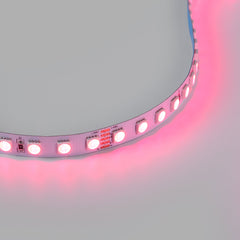 Tira LED 48V DC - RGBWW - 12W/m - 10mm - IP20 - 10 metros - 90ch/m