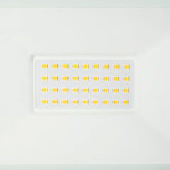 Proyector LED exterior 30W - 95lm/W - IP65 - Blanco