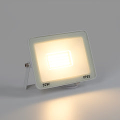 Proyector LED exterior 30W - 95lm/W - IP65 - Blanco