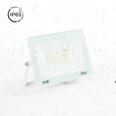 Proyector LED exterior 30W - 95lm/W - IP65 - Blanco