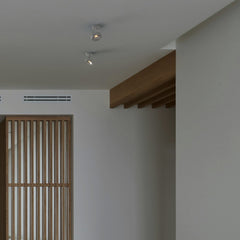Foco de techo orientable "IRIS" + Bombilla AR111 GU10