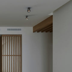 Foco de techo orientable "IRIS" + Bombilla AR111 GU10