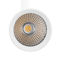Proyector LED para carril monofásico 20W - CCT - CRI 90 - 1800 lm