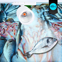 Proyector LED para carril trifásico 40W - Pescados y Mariscos - Driver Philips Xitanium