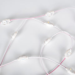 Módulo LED monocolor para rótulos - 0.5W - 12V DC - IP66 - 170º