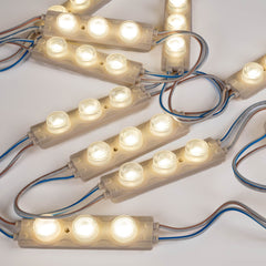 Módulo LED monocolor para rótulos - 3W - 220V AC - IP65 - 16º