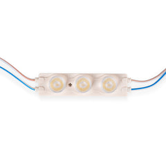 Módulo LED monocolor para rótulos - 3W - 220V AC - IP65 - 16º