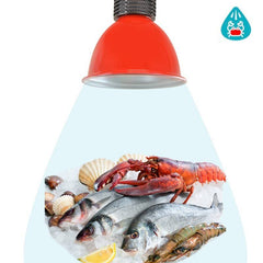 Campana LED 30W especial para pescado y marisco