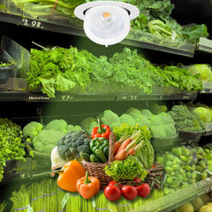 Downlight LED basculante empotrable - Chip especial para comercios - 40W