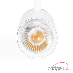 Proyector LED para carril monofásico - 36W - CCT - TRIAC regulable - CRI90