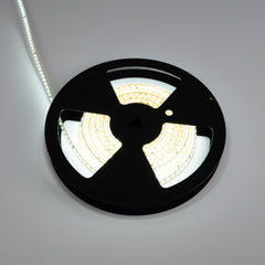 Tira LED 220V AC - Monocolor - 8W/m - 10mm - IP65 - 10 metros - 120ch/m