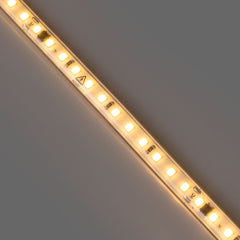 Tira LED 220V AC - Monocolor - 8W/m - 10mm - IP65 - 5 metros - 120ch/m