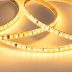 Tira LED 220V AC - Monocolor - 8W/m - 10mm - IP65 - 5 metros - 120ch/m