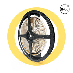 Tira LED 220V AC - Monocolor - 8W/m - 10mm - IP65 - 5 metros - 120ch/m