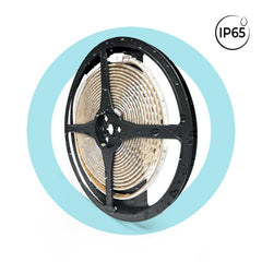 Tira LED 220V AC - Monocolor - 8W/m - 10mm - IP65 - 5 metros - 120ch/m