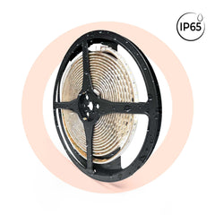 Tira LED 220V AC - Monocolor - 8W/m - 10mm - IP65 - 5 metros - 120ch/m