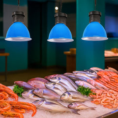 Campana LED 30W especial para pescado y marisco
