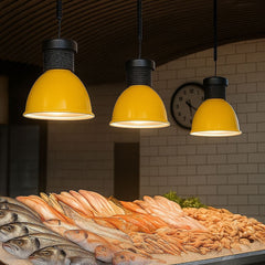 Campana LED 30W especial para pescado y marisco