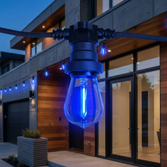 Bombilla LED Filamento - S14 E27 - 1W - Cristal de colores