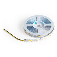 Tira LED SMD2216 - CCT - 24V DC - 30W/m - 10mm - IP20 - 5 metros