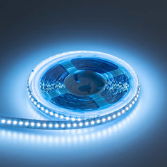Tira LED SMD2216 - CCT - 24V DC - 30W/m - 10mm - IP20 - 5 metros