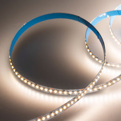 Tira LED SMD2216 - CCT - 24V DC - 30W/m - 10mm - IP20 - 5 metros