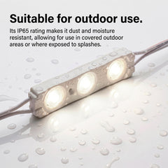 Módulo LED monocolor para rótulos - 1.2W - 12V - 160° - IP65