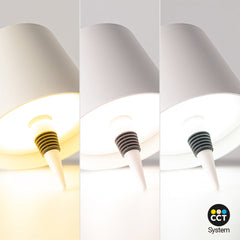 Lámpara para botellas LED CCT portátil - Táctil - Ø105 mm