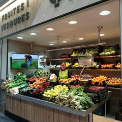 Downlight LED especial para frutas y verduras - 40W - Driver Philips - Corte Ø210 mm