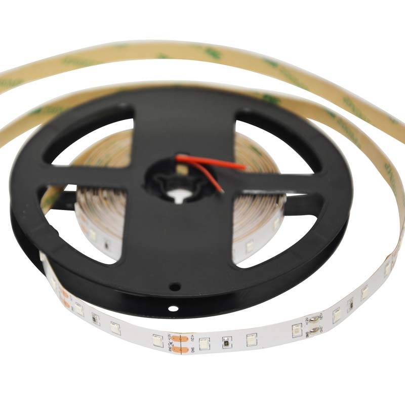 Tira de LED 12V-DC 50W 10mm monocolor IP20 (SMD2835 60ch/m) Rollo 5 metros