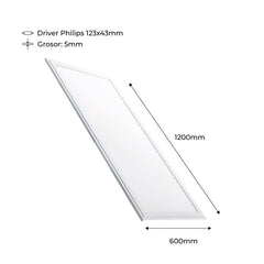 Panel LED de empotrar 1200X600mm Slim 72W PHILIPS DRIVER UGR19 con KIT de montaje