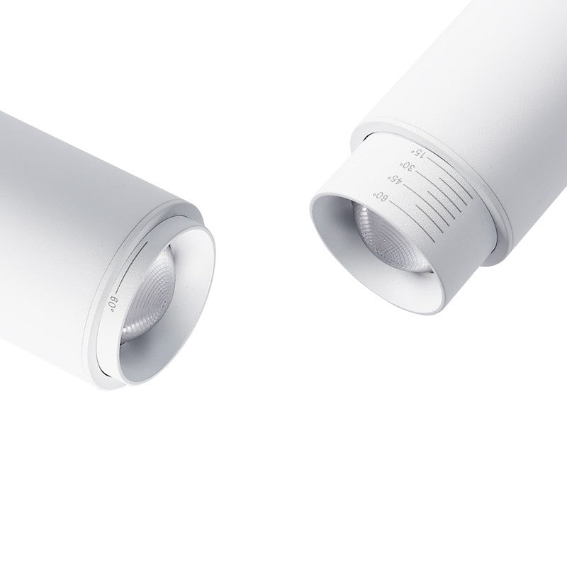 Aplique de techo LED orientable 8W - Ángulo ajustable - 2800K