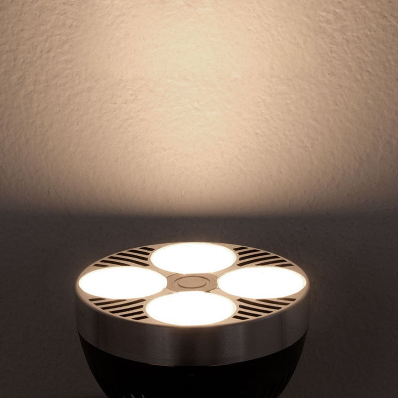 Pack Lámpara de techo o pared "CINEMA" con Bombilla LED PAR30 E27