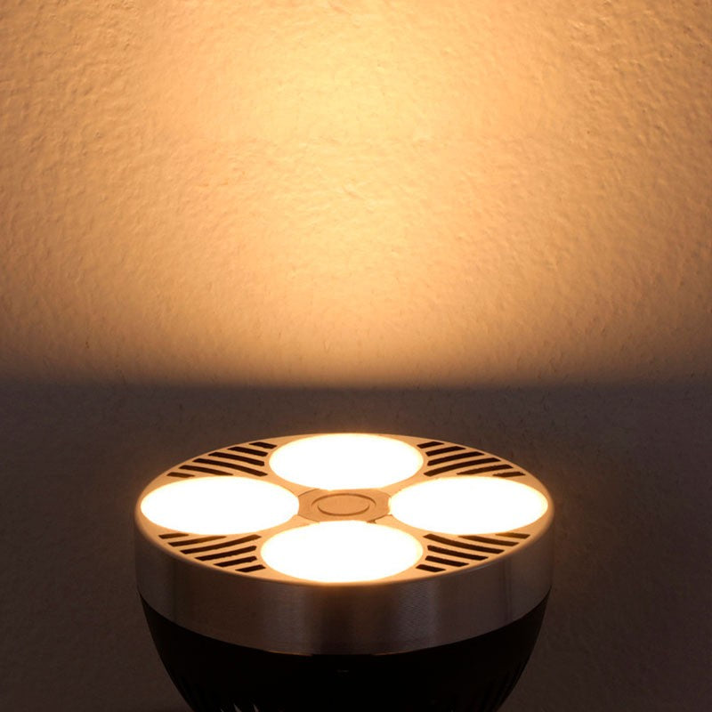 Pack Lámpara de techo o pared "CINEMA" con Bombilla LED PAR30 E27
