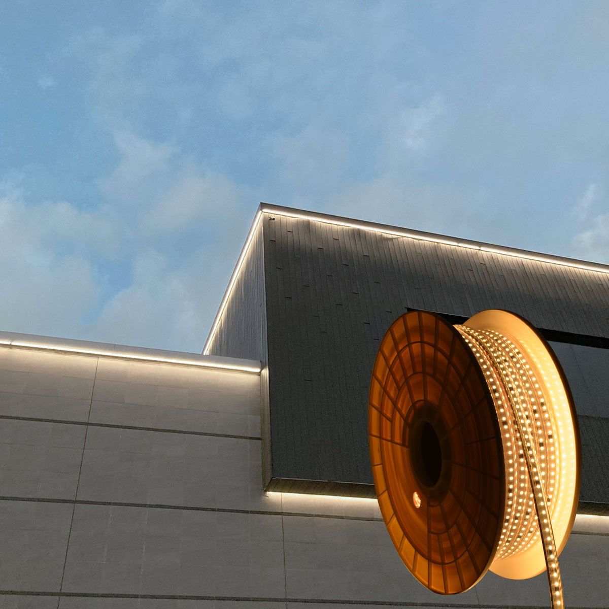 Tira LED 220V - 950W (6000xSMD2835) 12mm -  IP67 - Rollo 50 metros - Corte cada 10cm