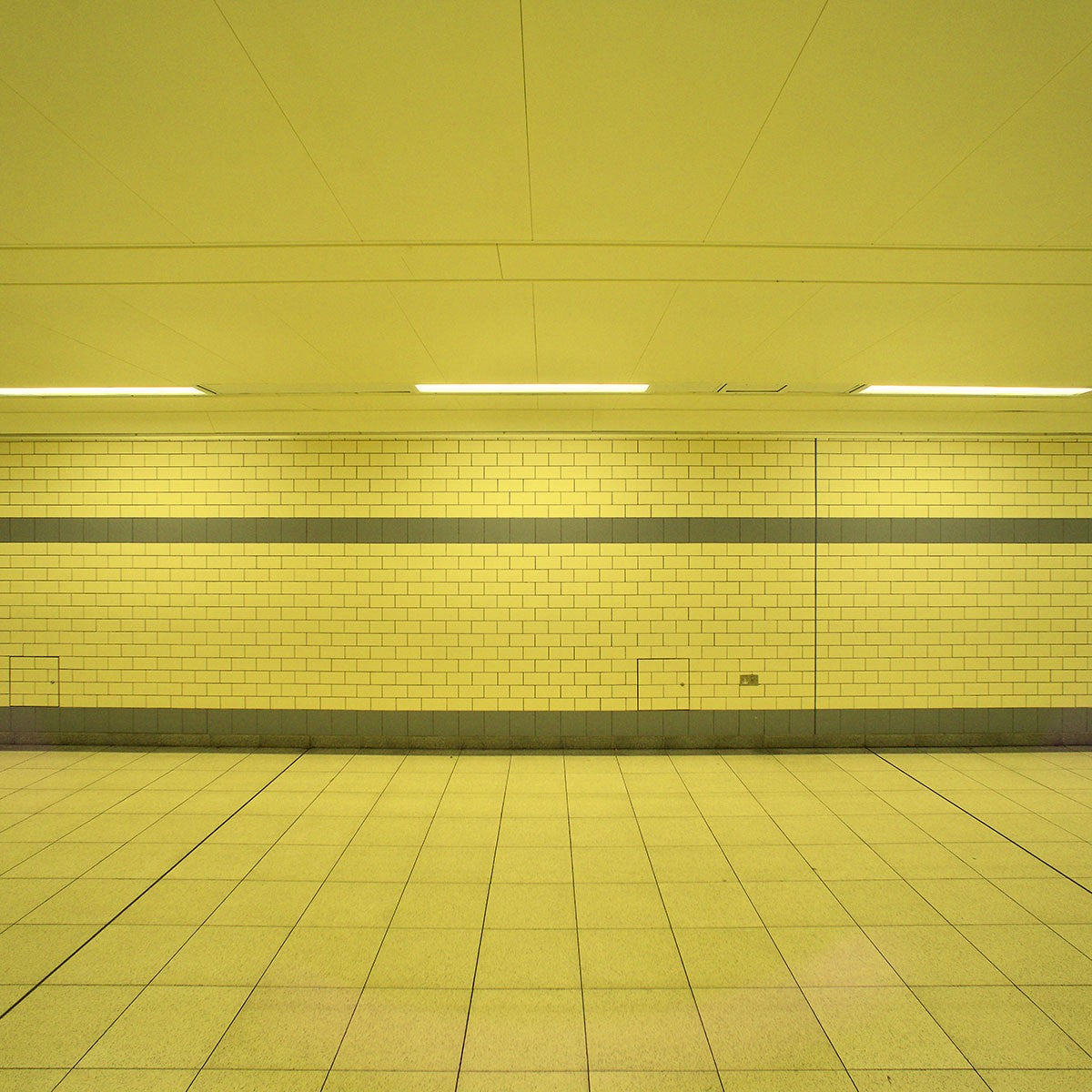 Tubo LED T8 120cm de colores -18 W