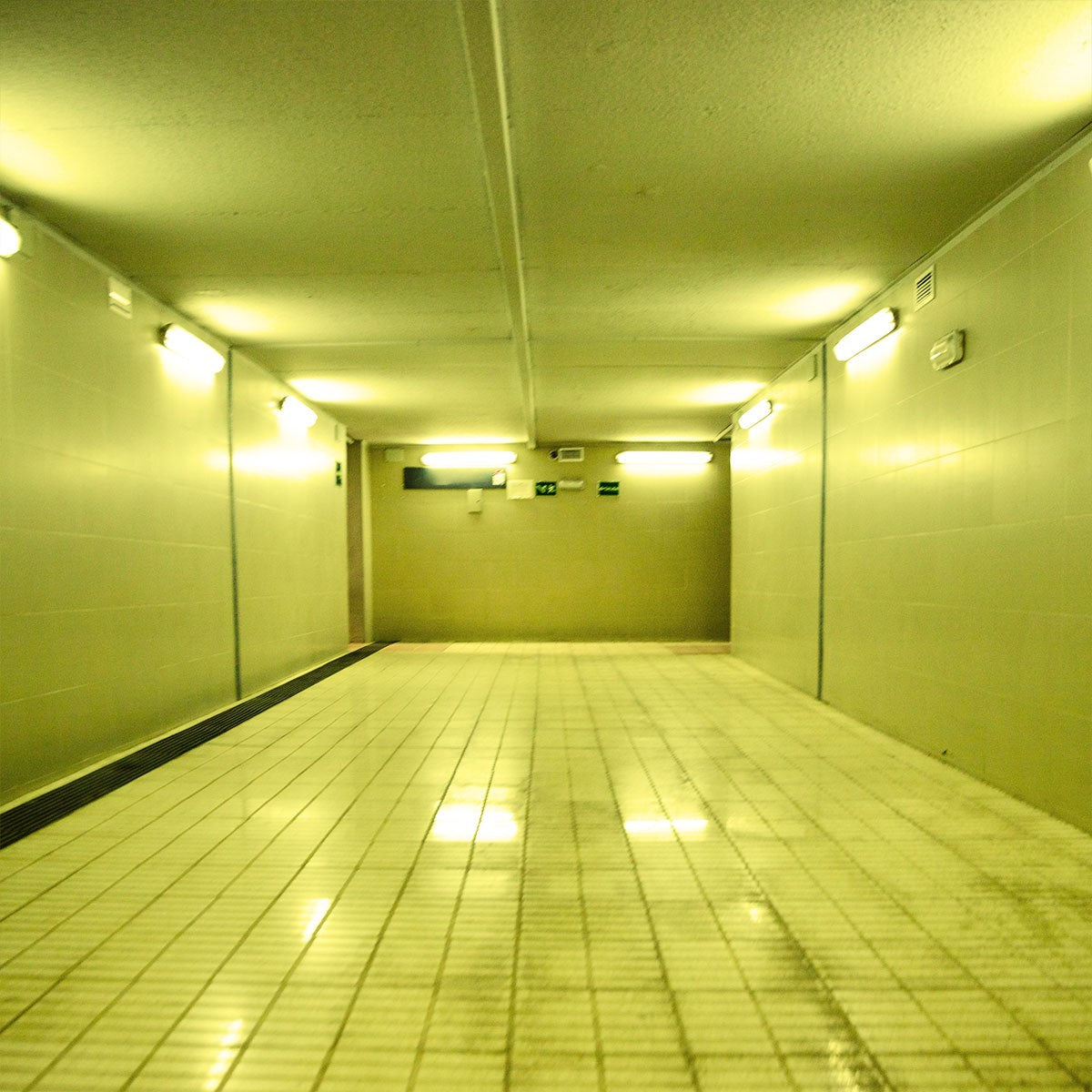 Tubo LED T8 120cm de colores -18 W