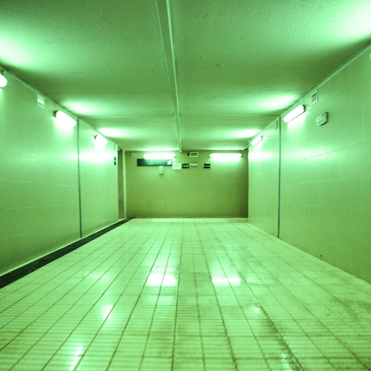 Tubo LED T8 120cm de colores -18 W