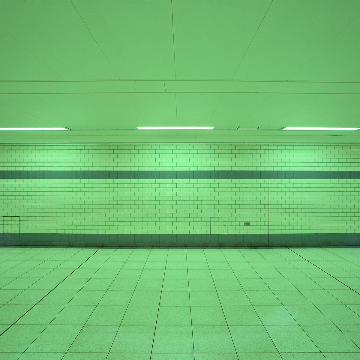 Tubo LED T8 120cm de colores -18 W