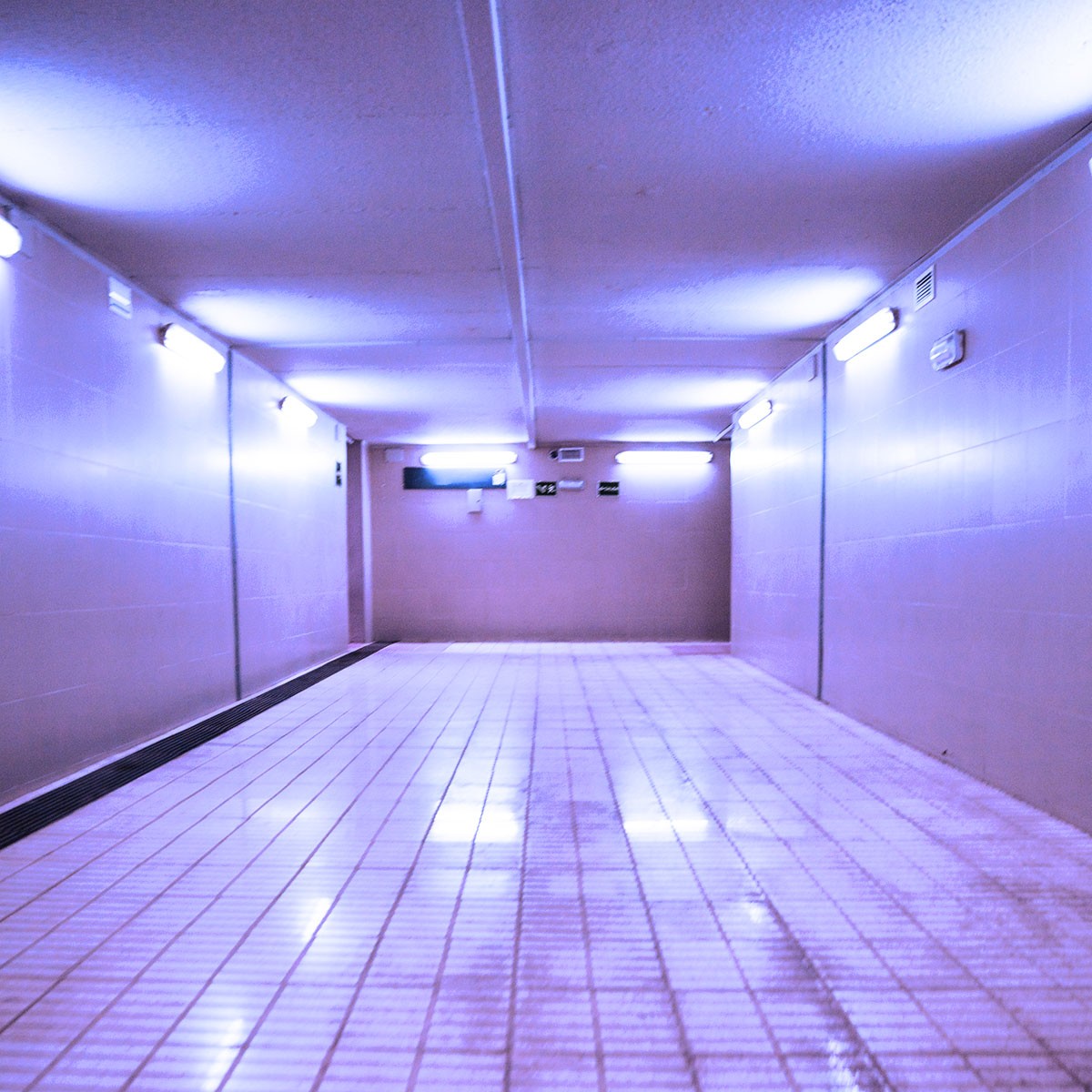 Tubo LED T8 120cm de colores -18 W
