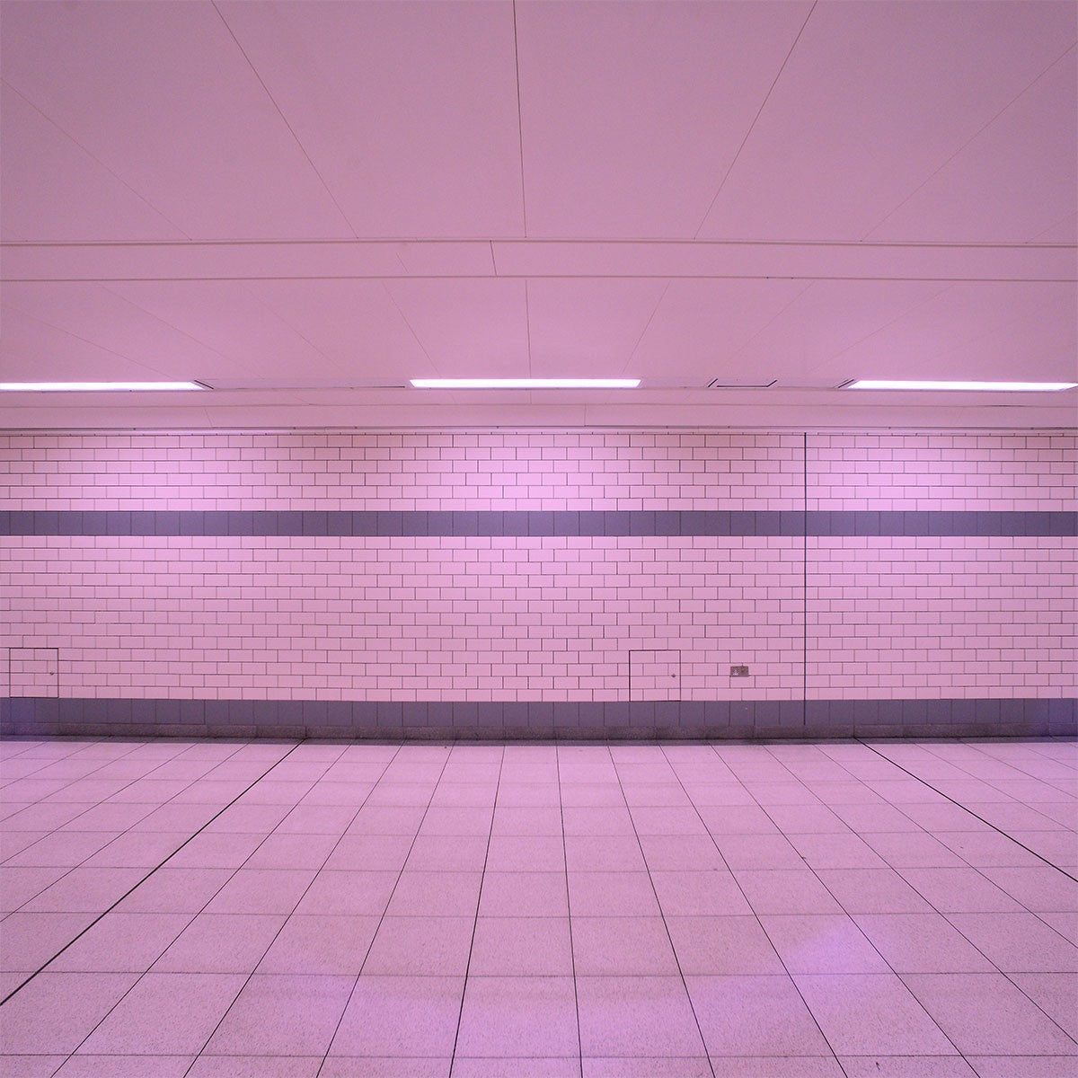 Tubo LED T8 120cm de colores -18 W