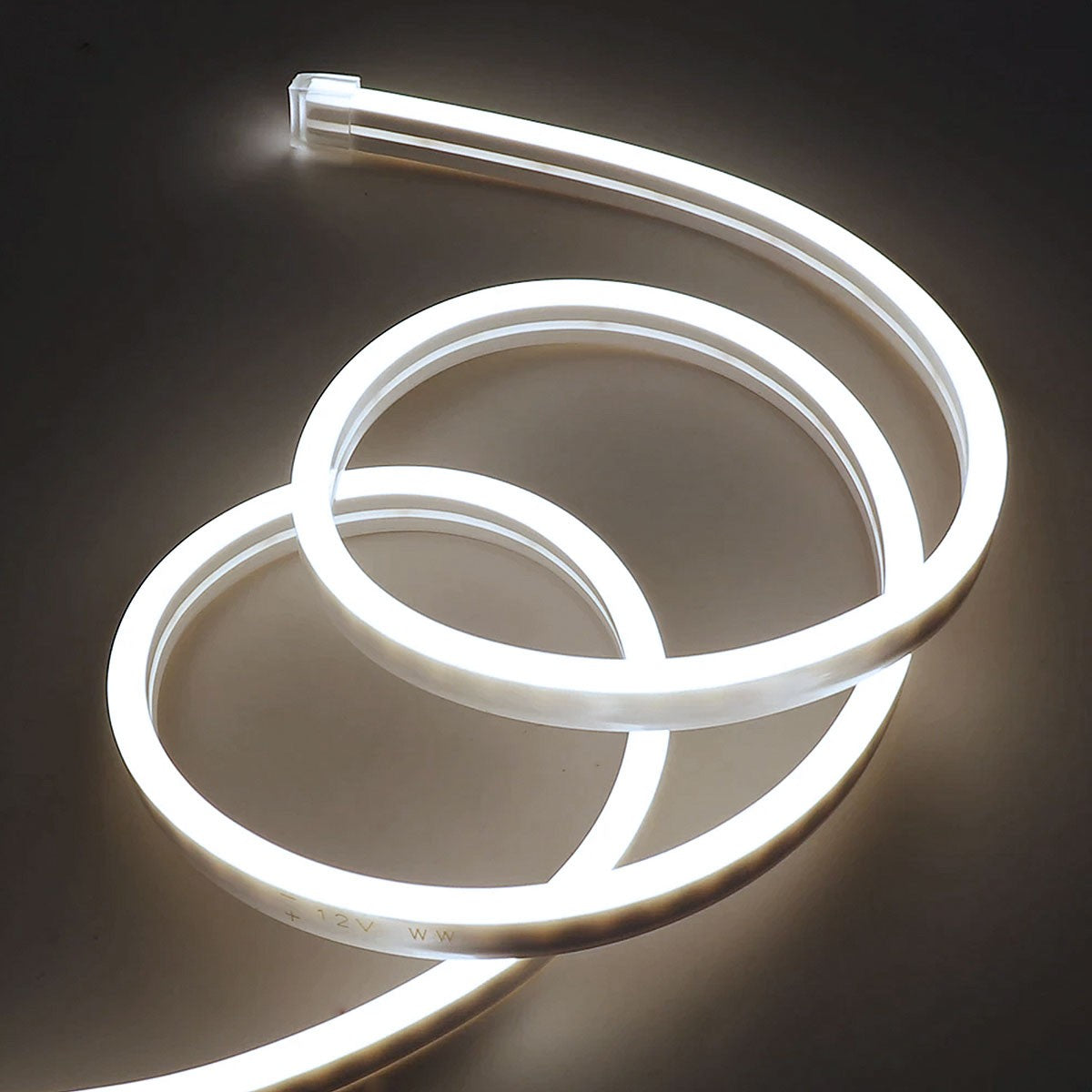 Neón LED flexible 24V DC - 4x10mm - 5 metros - Kit completo - IP67 - 11W/m - Curvatura lateral