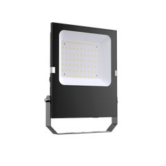 Proyector LED exterior 50W - 12-24V DC - 120º - IP66