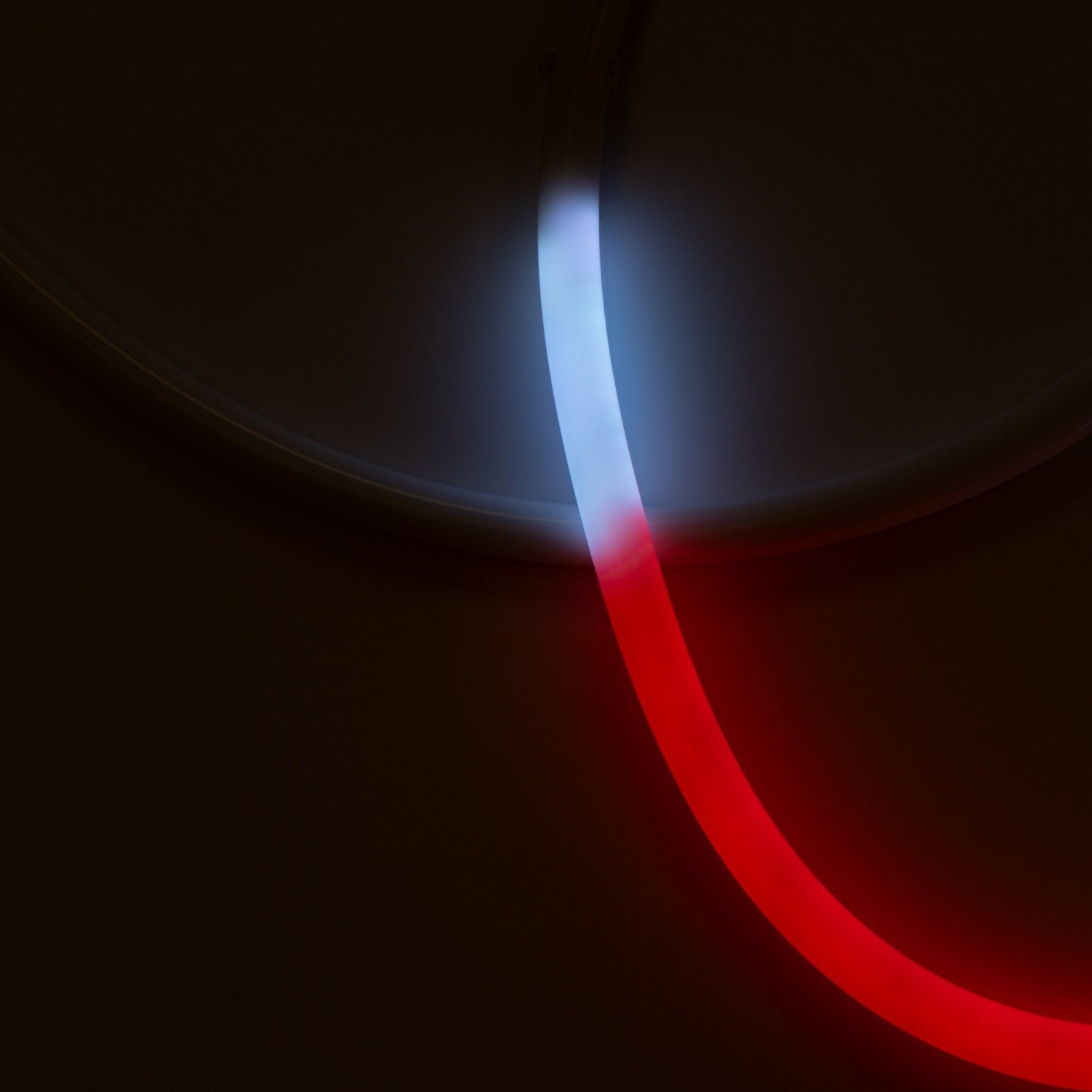 Neón LED flexible RGB inteligente IC - 360º circular - Ø22mm - 4 metros - 12V DC - 28W/m - IP65