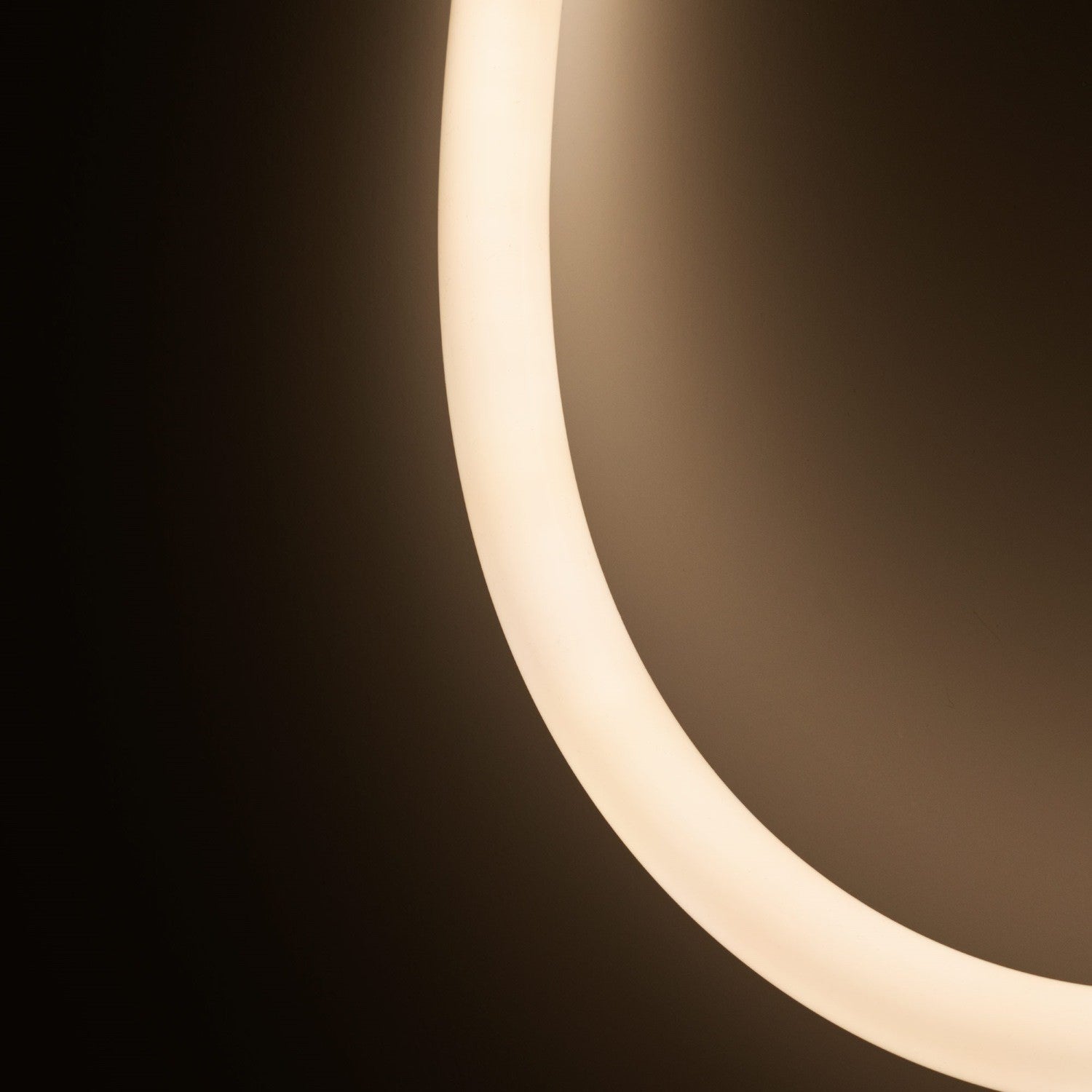 Neón LED flexible 360º circular - Ø22mm - 5 metros - 24V DC - 240Ch/m - 19,2W/m - IP65