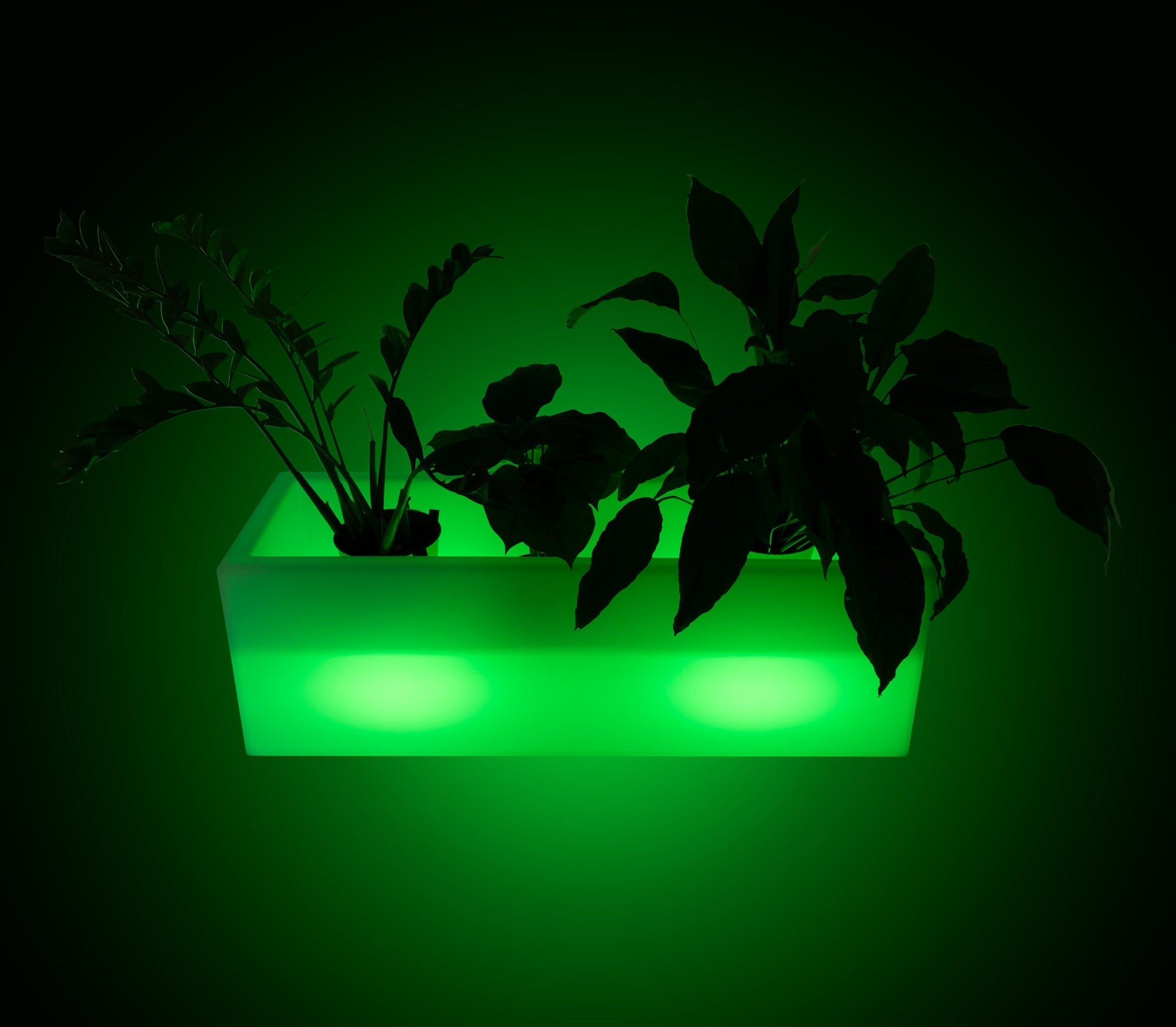 Macetero LED RGBW recargable - 12W - IP67