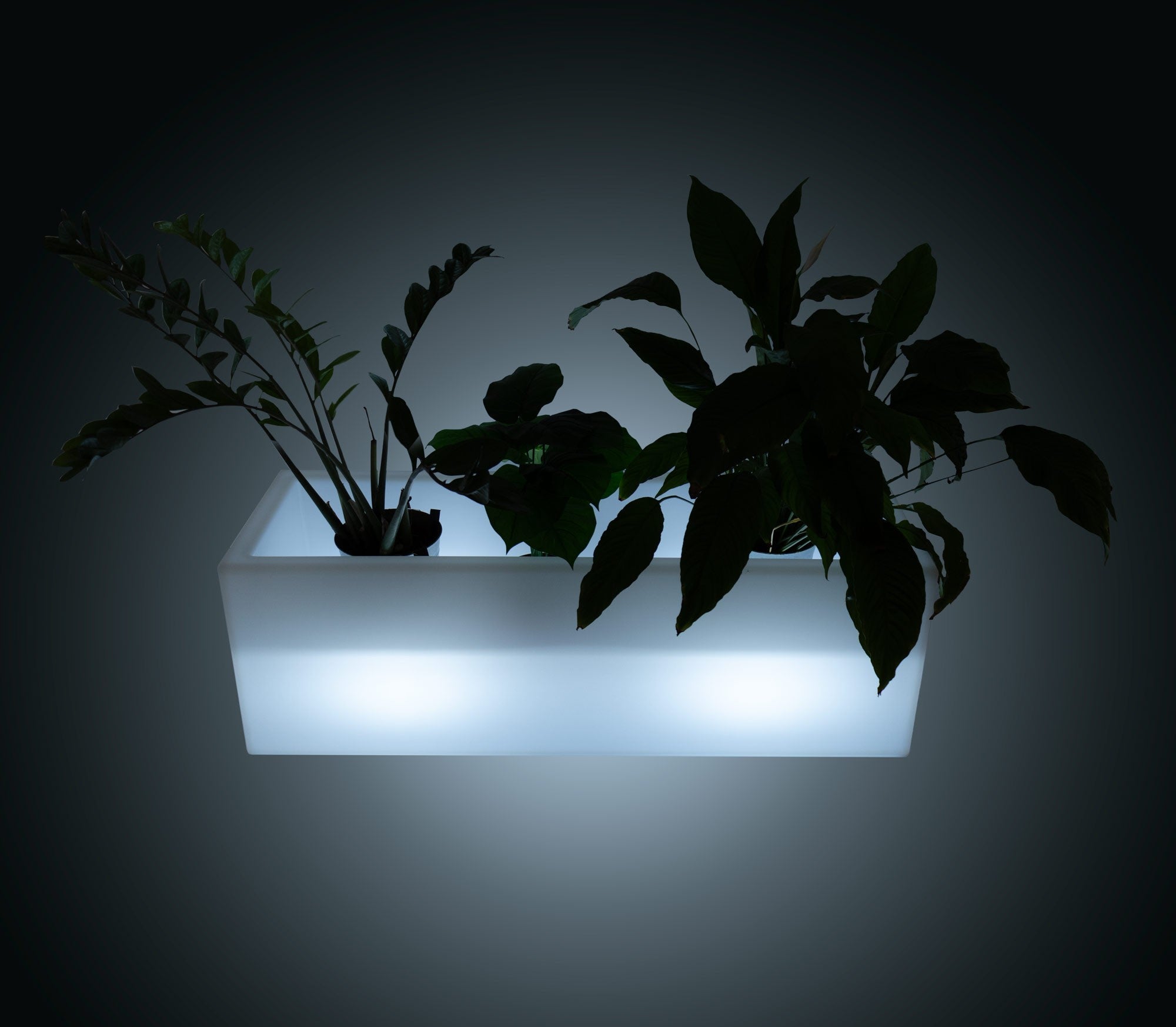Macetero LED RGBW recargable - 12W - IP67