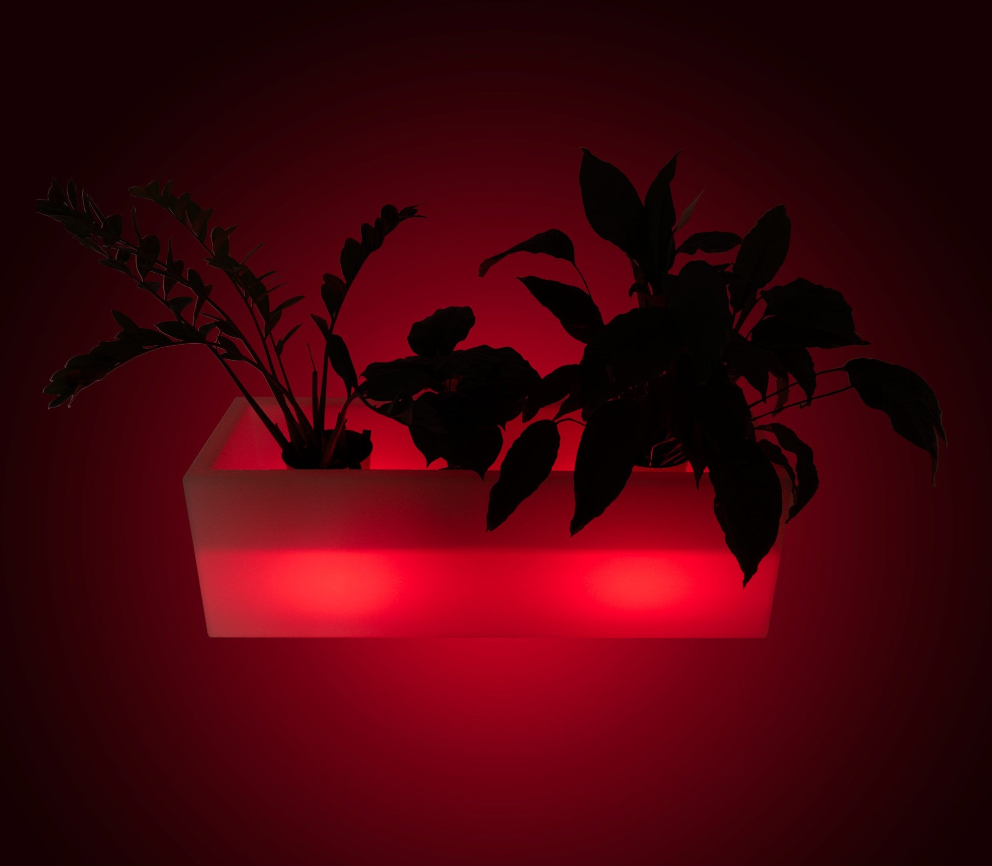 Macetero LED RGBW recargable - 12W - IP67