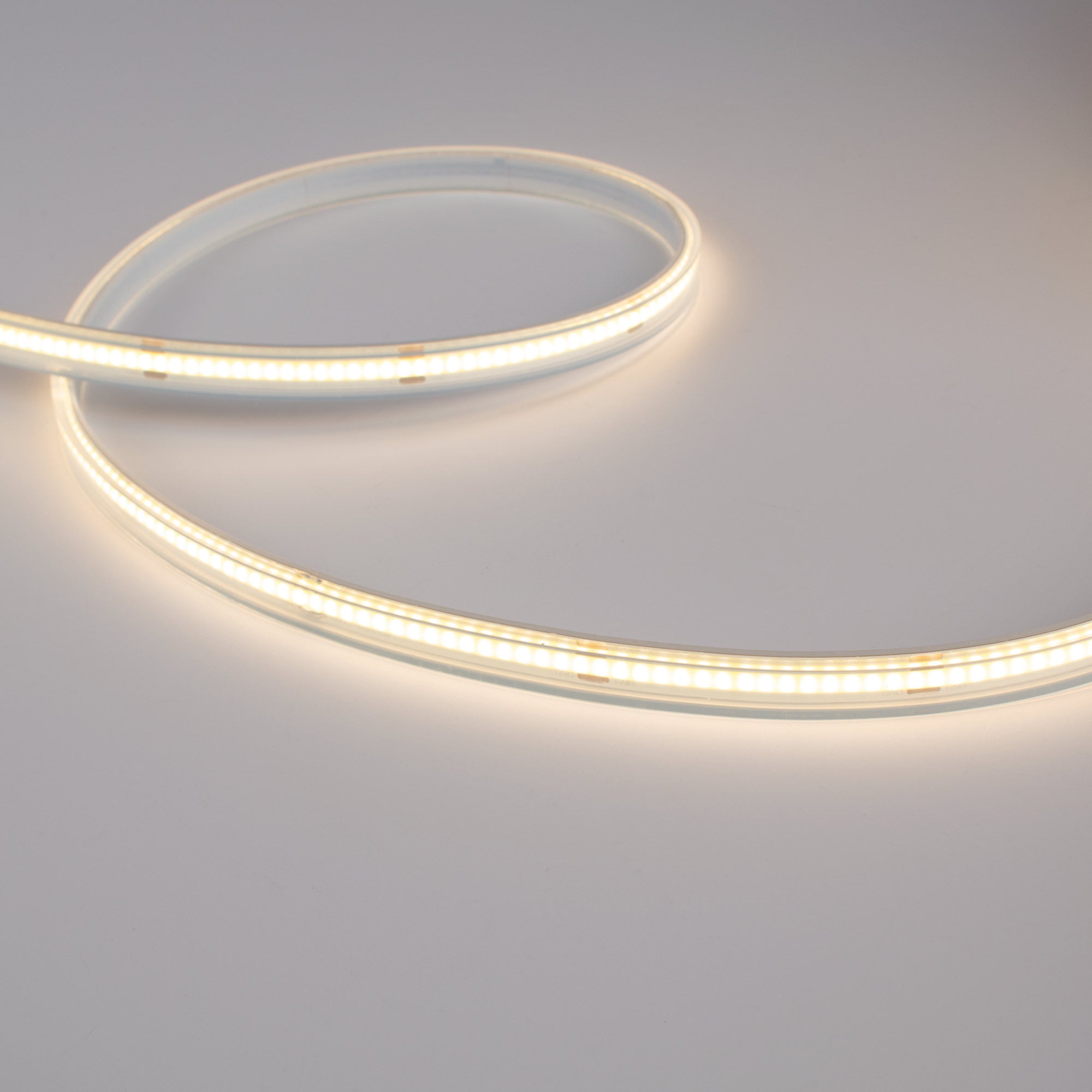 Tira LED COB 24V DC - 12W/m - 10mm - IP67 - Rollo de 5 metros - Corte cada 5cm