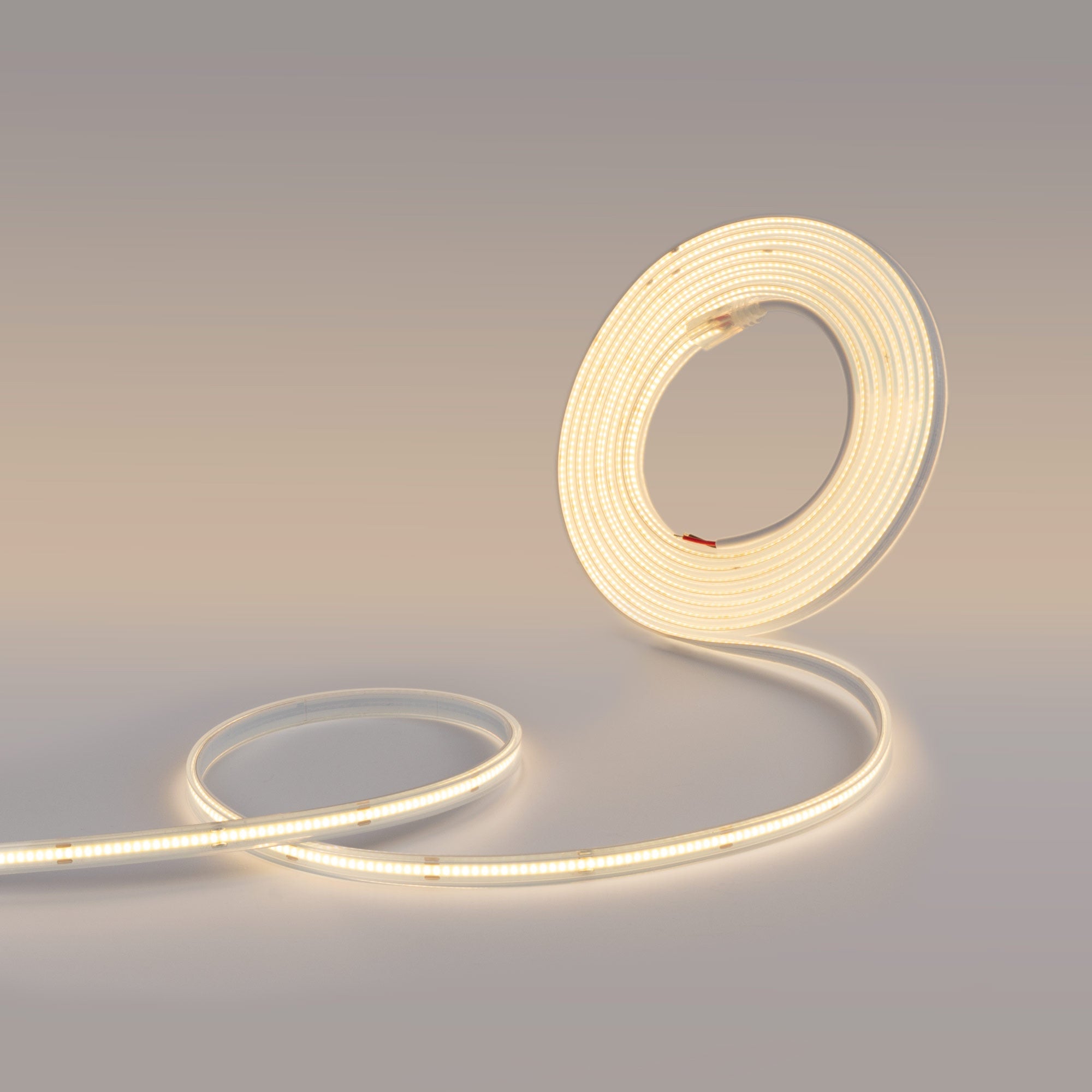 Tira LED COB 24V DC - 12W/m - 10mm - IP67 - Rollo de 5 metros - Corte cada 5cm